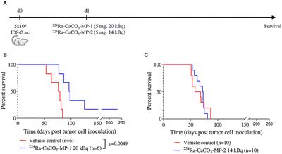 Intraperitoneal alpha therapy with 224Ra-labeled microparticles combined with chemotherapy in an ovarian cancer mouse model